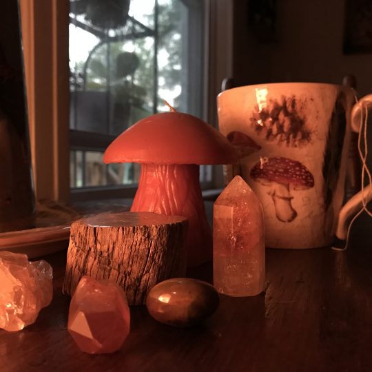 A tea cup next to a citrine, bloodstone, and petrified wood