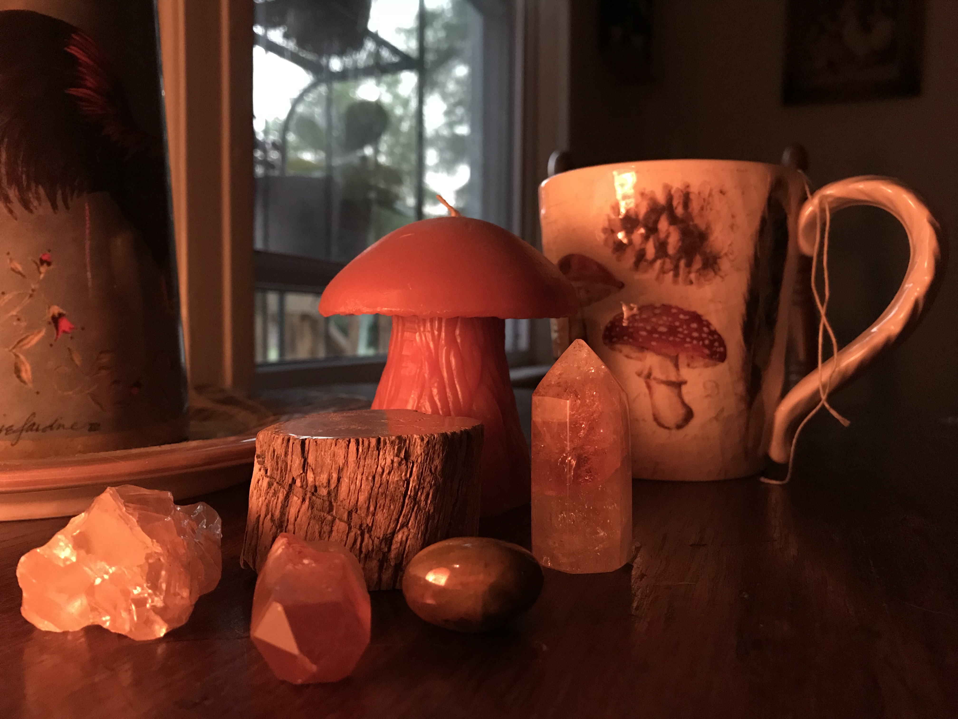 A tea cup next to a citrine, bloodstone, and petrified wood