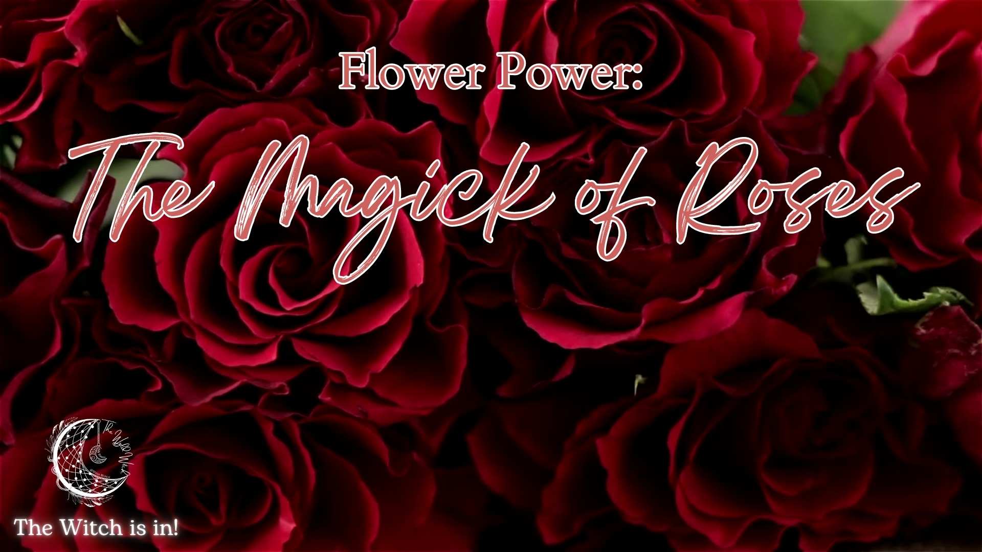 Flower Power: The Magick of Roses