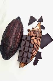 Cacao Workshop