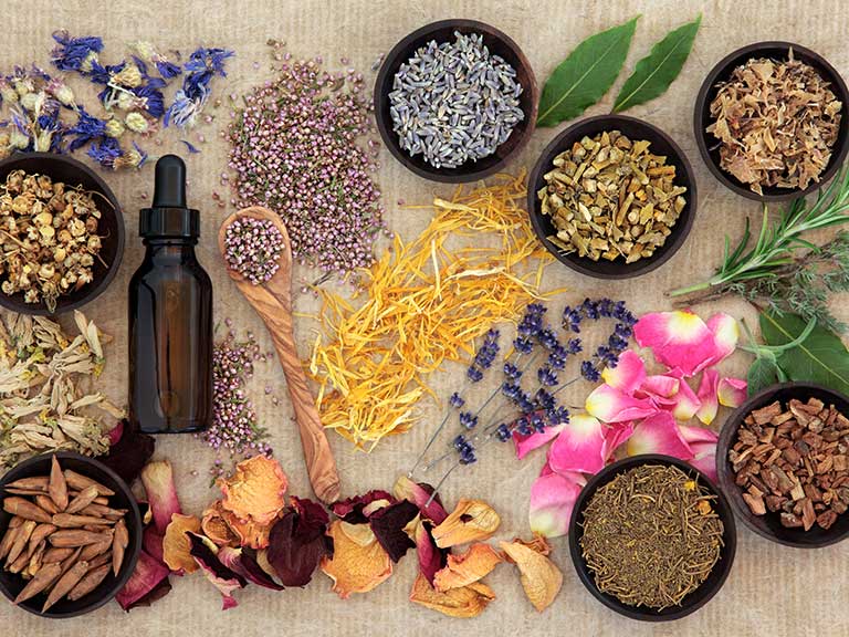 herbs on a table